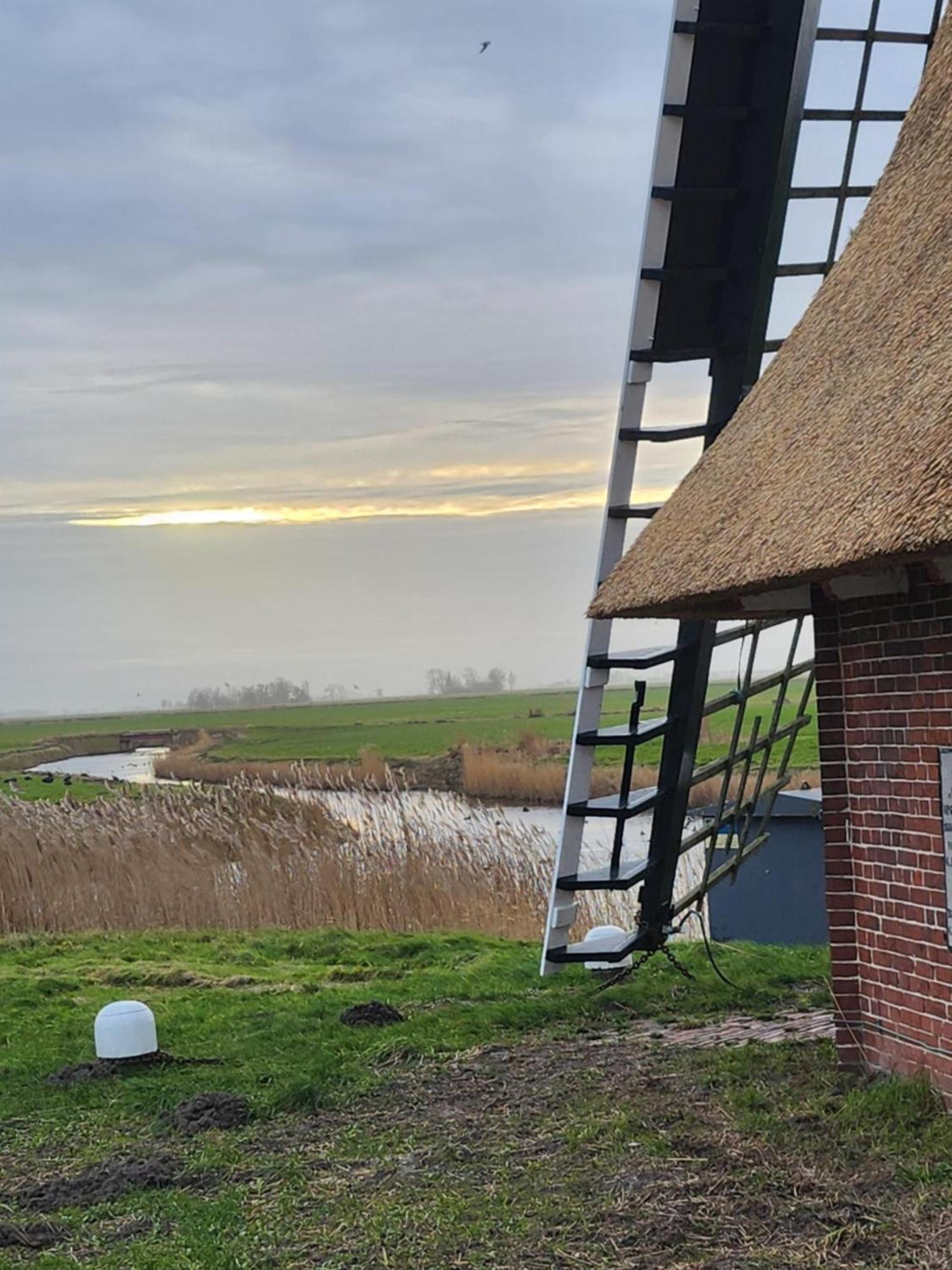 In Het Mooie Friesland Vele Bezienswaardigheden Hantum Exterior photo