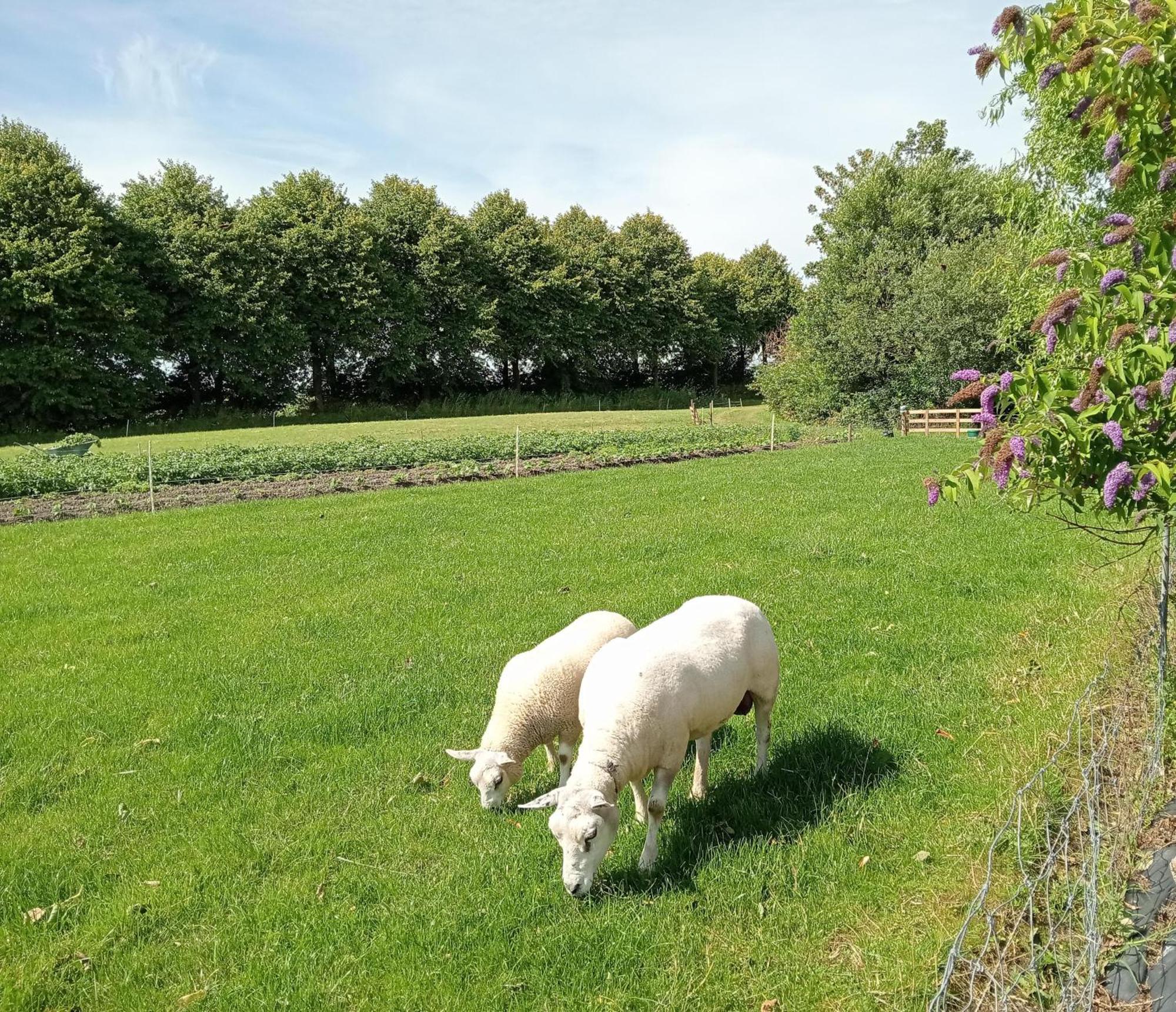 In Het Mooie Friesland Vele Bezienswaardigheden Hantum Exterior photo
